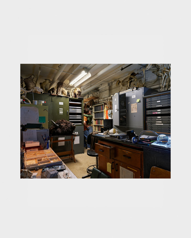 Photograph of a Storage room with shelves, cabinets, and various items on a white background