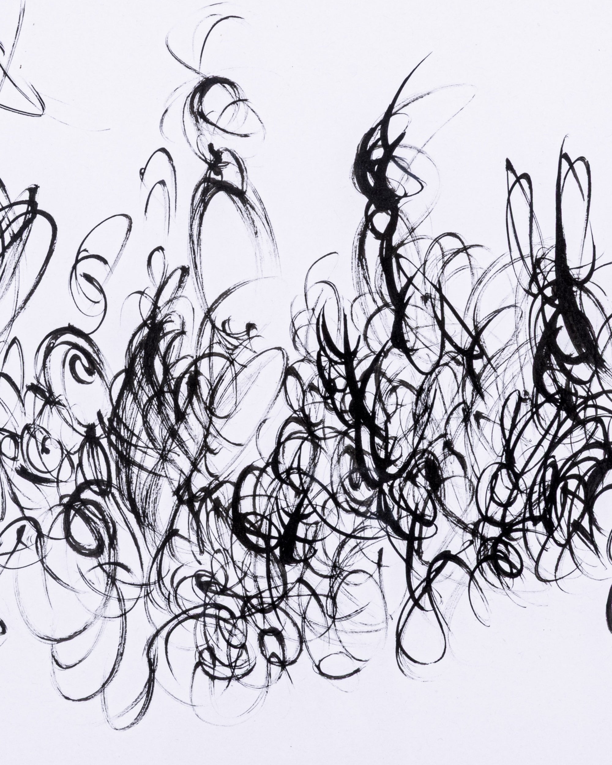 Black abstract brush strokes on a white background