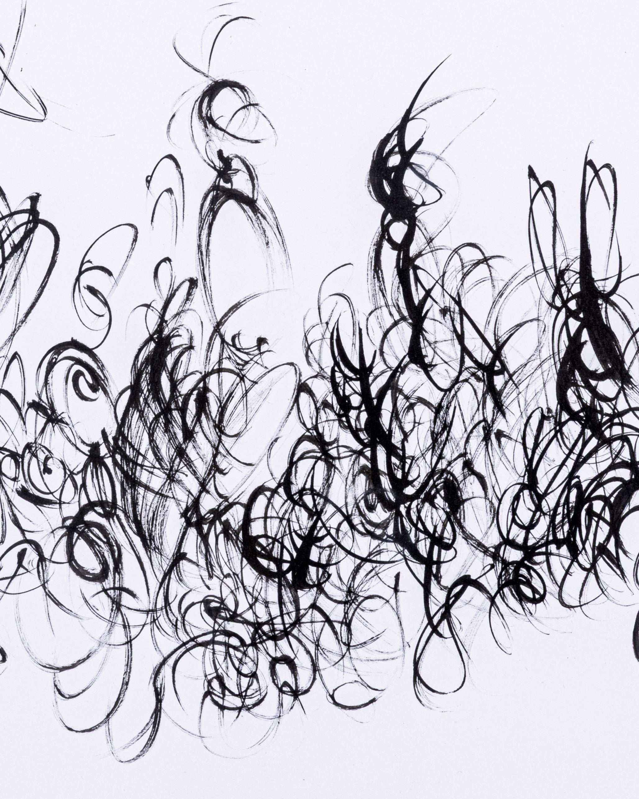 Black abstract brush strokes on a white background