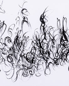 Black abstract brush strokes on a white background