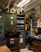 Photograph of a Storage room with cabinets, books, and taxidermy animals.